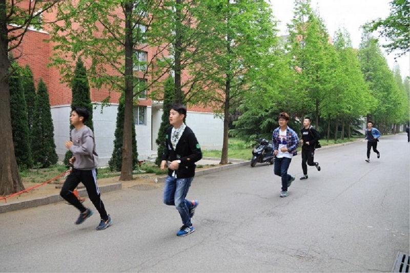 1495447416127339.jpg 1495447416127339.jpg