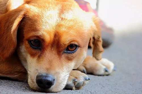 1573740719781202.jpg taptap点点体育